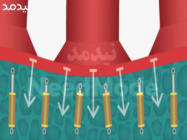 اسفنج رویه ایلیوس
