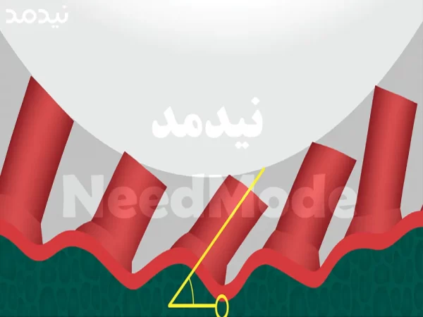اسفنج رویه ایلیوس
