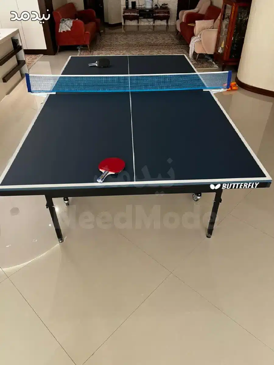 بازی تکنفره روی میز پینگ پنگ تاشو خانگی